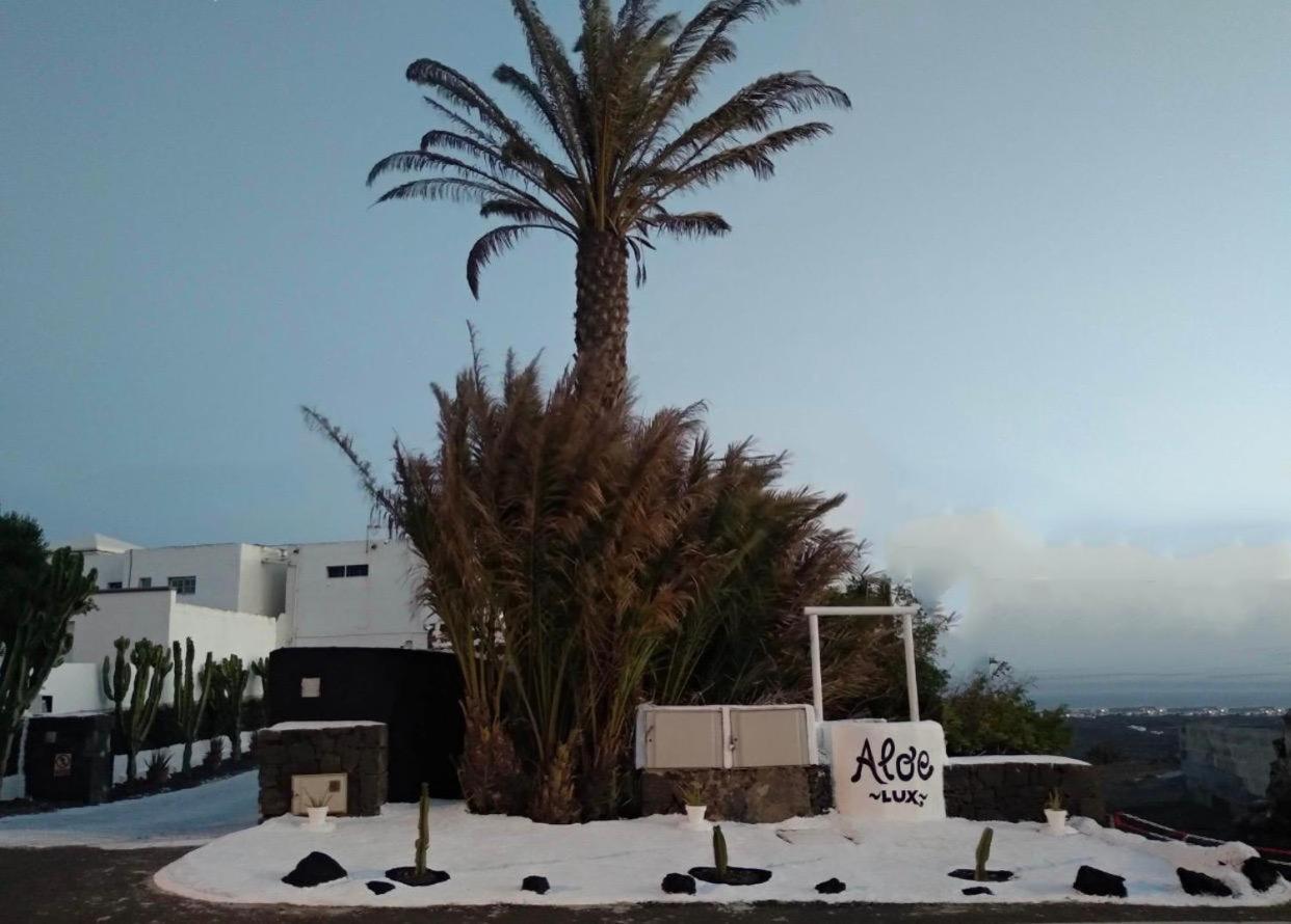Aloelux Villa ! - Private Villa With Jacuzzi, Cinema ,Massage ,Wonderful View, Art Desing Villa Conil Exterior photo